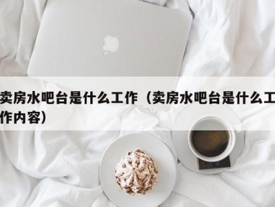 重庆卖房水吧台是什么工作（卖房水吧台是什么工作内容）