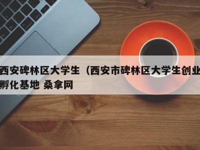 重庆西安碑林区大学生（西安市碑林区大学生创业孵化基地 桑拿网