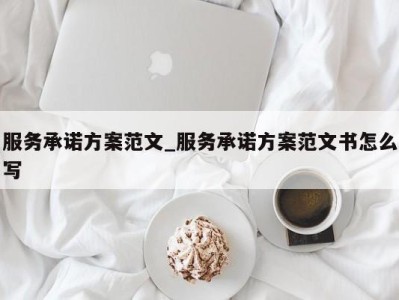 重庆服务承诺方案范文_服务承诺方案范文书怎么写 